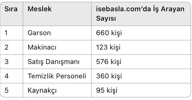 İŞKUR 2024 İşgücü Piyasası Araştırması Sonuçlandı: En Çok Aranan Meslekler ve İş Arayan Sayıları Açıklandı
