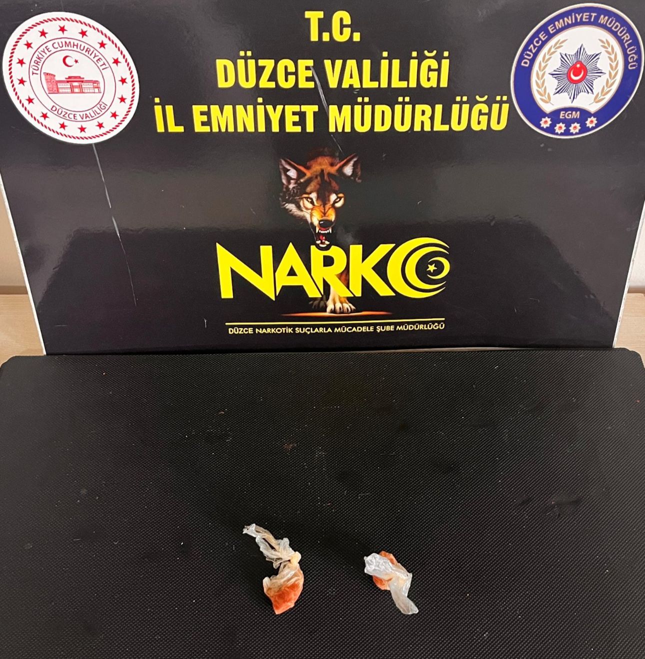 Düzce’de Uyuşturucu Operasyonu: Bonzai Hammaddesi Ele Geçirildi, 1 Kişi Tutuklandı