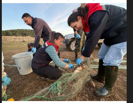 Seben Taşlıyayla Göleti’nde 5 Kilometrelik Hayalet Ağ Çıkarıldı: 500 Balık Kurtarıldı